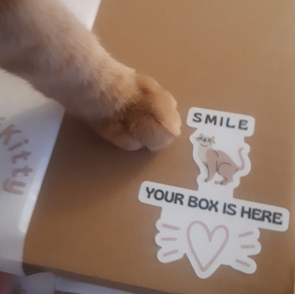 Cat Themed Mystery Fun Box Up to 5lbs - Picture 3 of 12